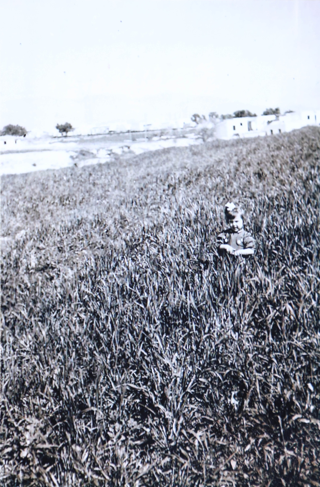 Ενας αιώνας ιστορίας στις γειτονιές της Νέας Φιλαδέλφειας-7