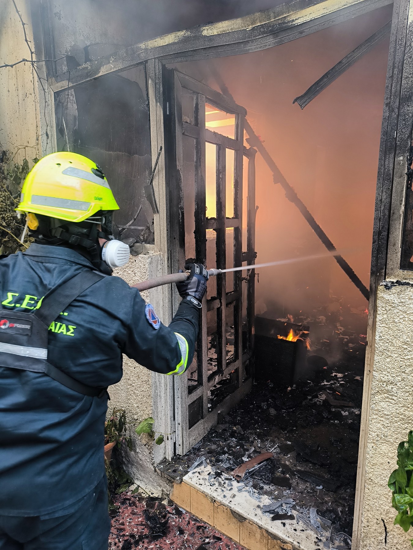 «Να βοηθήσουμε να σωθεί έστω κι ένα δέντρο»-2