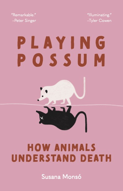 Πώς πενθούν οι φάλαινες, πώς αντιλαμβάνονται τον θάνατο οι σκύλοι;-1