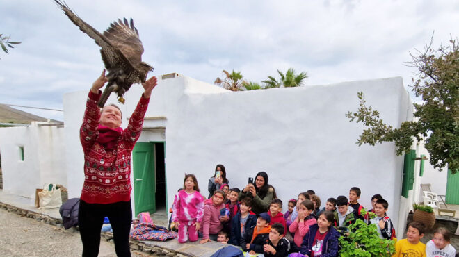 μείωση-του-πληθυσμού-άγριας-ζωής-κατά-73-563254741