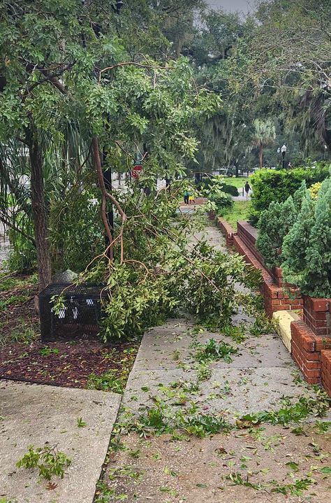 «Είναι ο τρίτος τυφώνας που περνάω» – Πώς βίωσε τον «Μίλτον» Ελληνας του Ορλάντο-6
