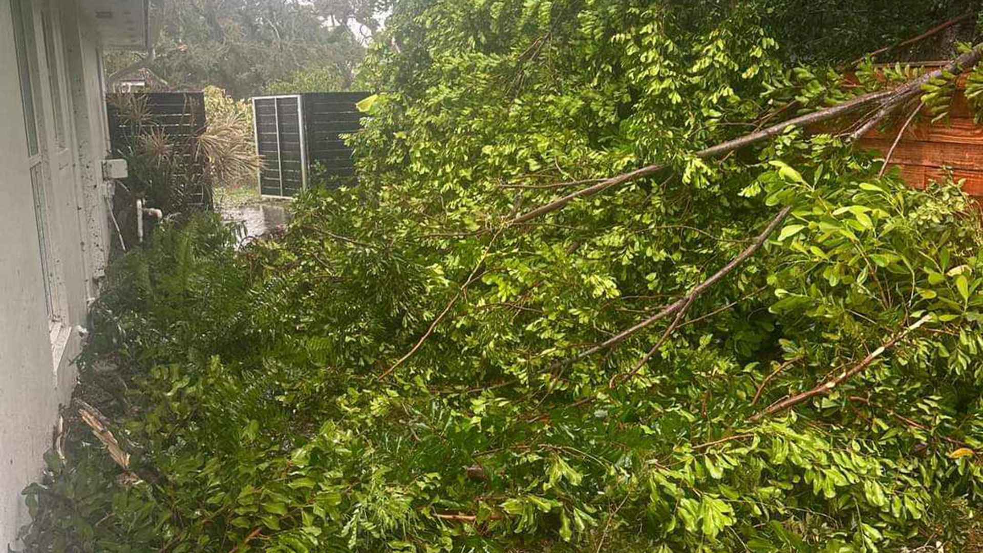 «Είναι ο τρίτος τυφώνας που περνάω» – Πώς βίωσε τον «Μίλτον» Ελληνας του Ορλάντο-4