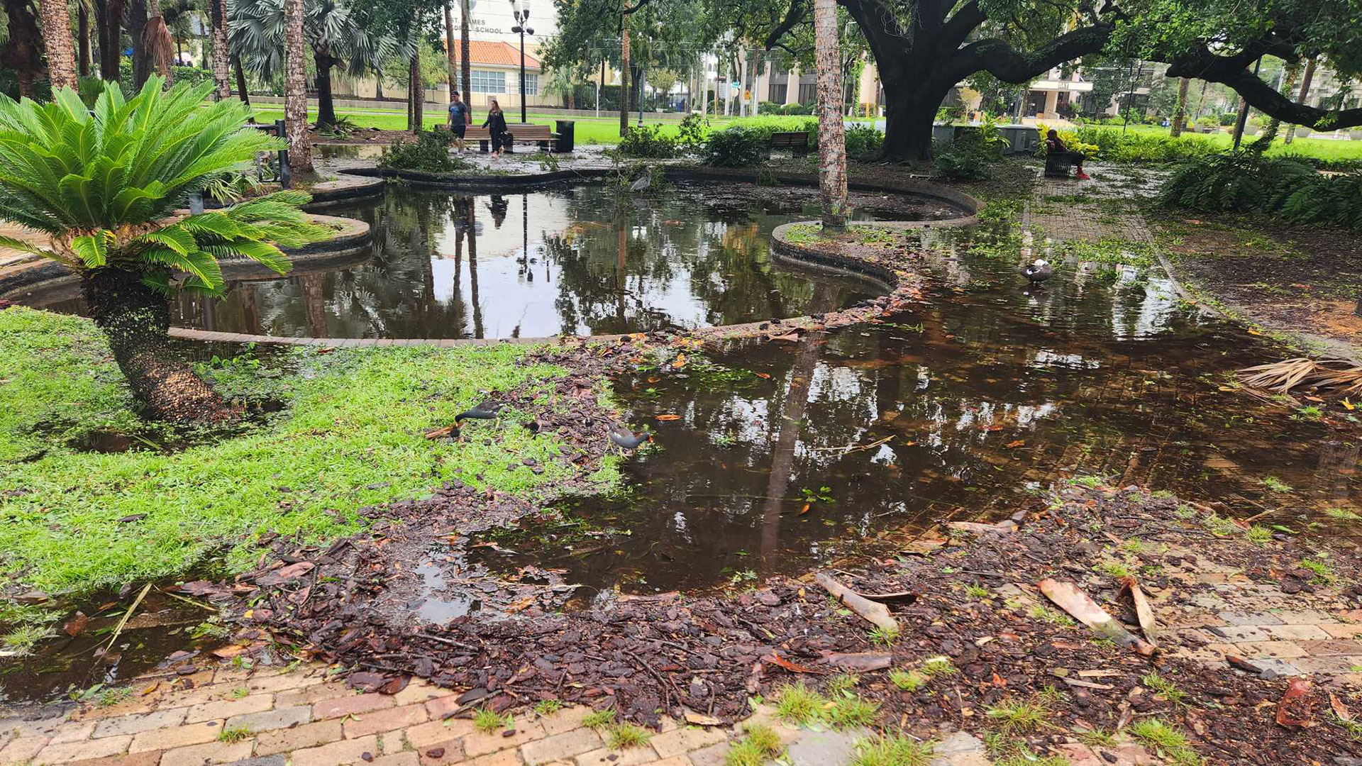 «Είναι ο τρίτος τυφώνας που περνάω» – Πώς βίωσε τον «Μίλτον» Ελληνας του Ορλάντο-3