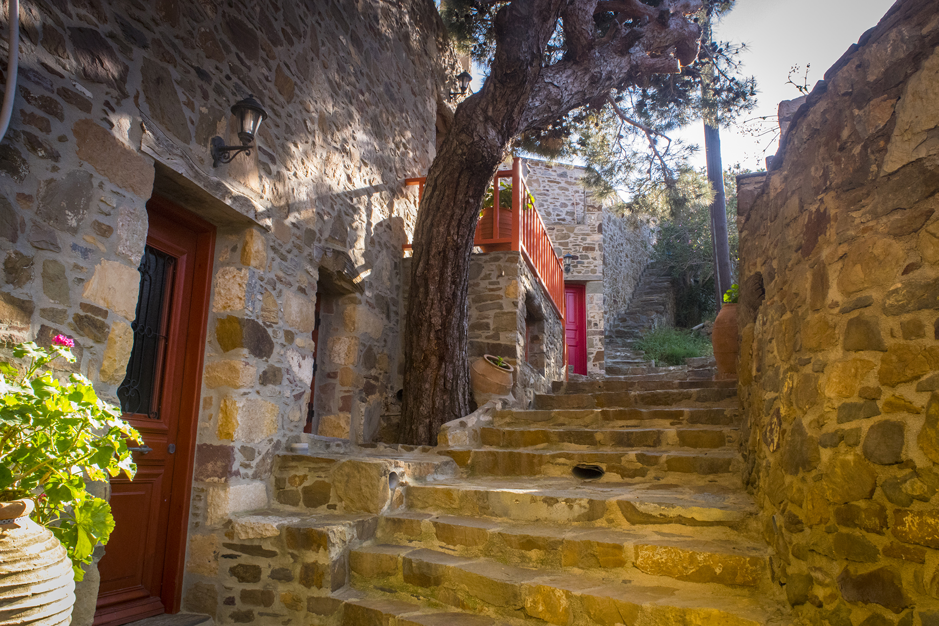 Βολισσός Χίου: Προσφέρει δουλειές και δωρεάν φροντιστήρια για να αναγεννηθεί το χωριό-4