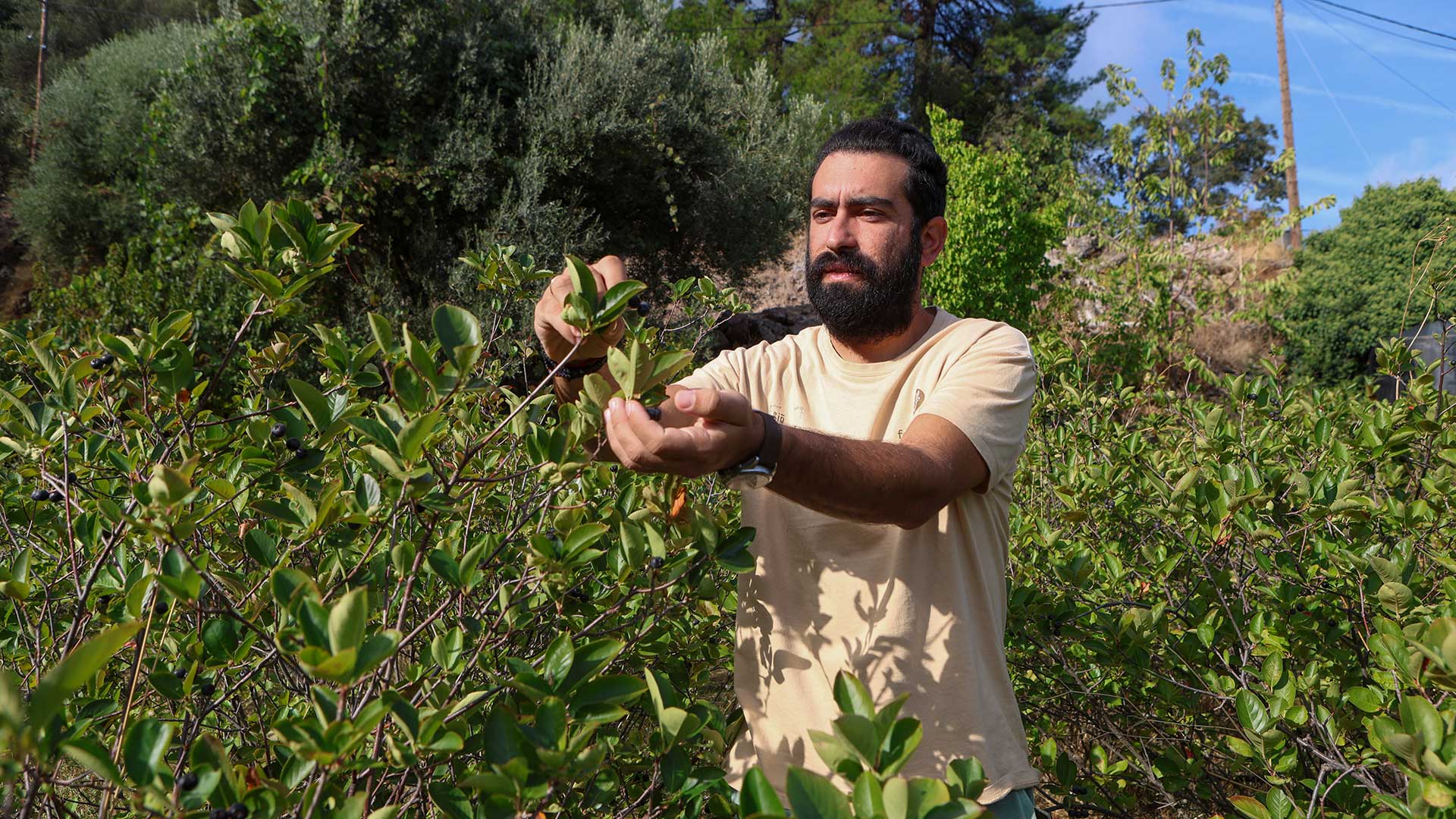 Φάρμα Καριοφύλλη: Εμπειρία για όλη την οικογένεια-2