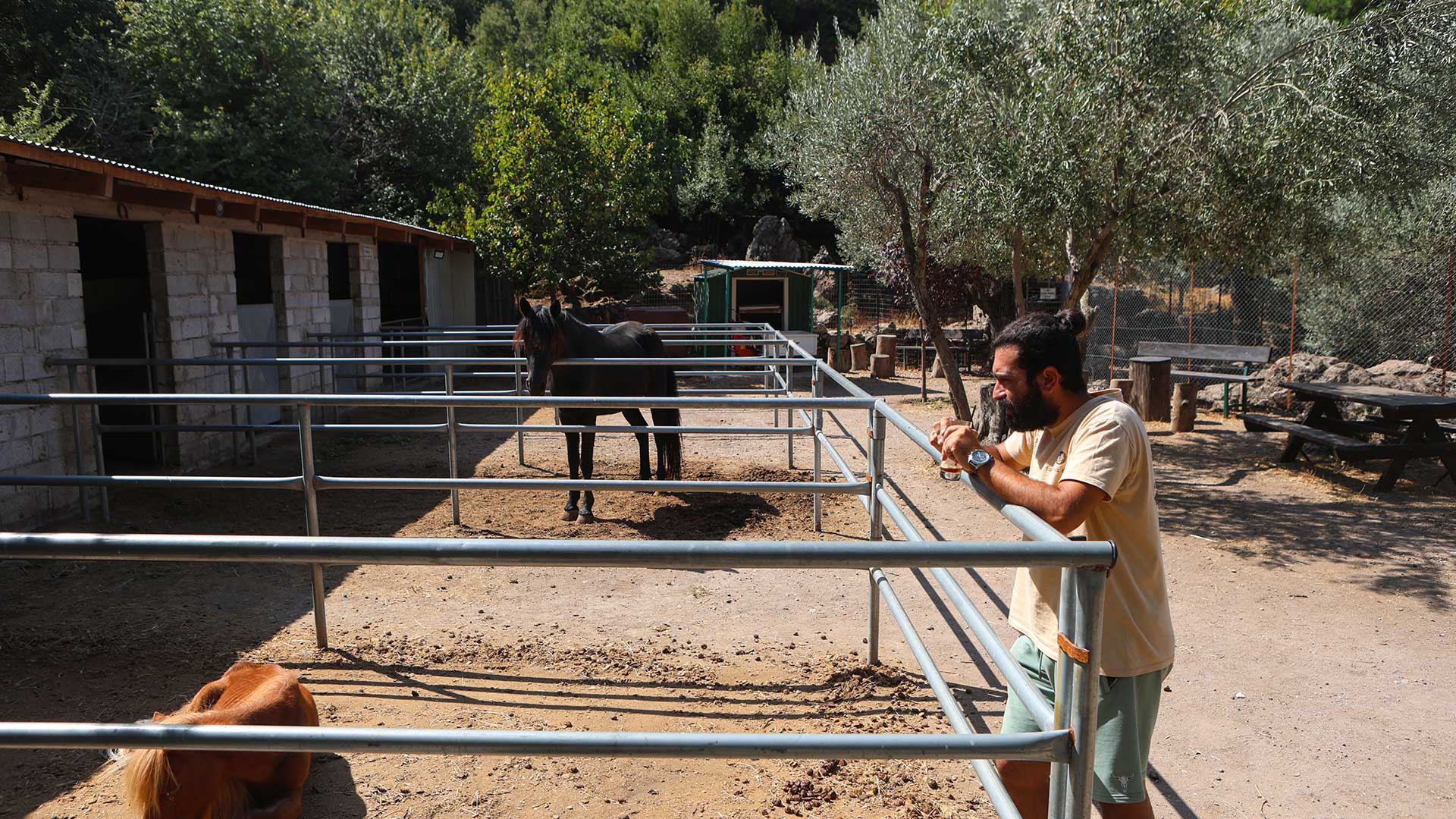 Φάρμα Καριοφύλλη: Εμπειρία για όλη την οικογένεια-1