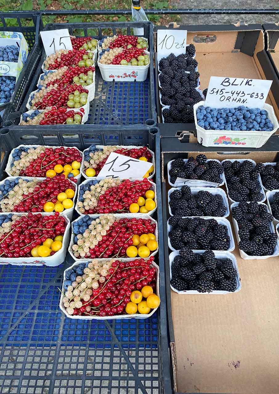 Πολωνία: Οικογενειακή Εξερεύνηση σε Βαρσοβία και Κρακοβία-11