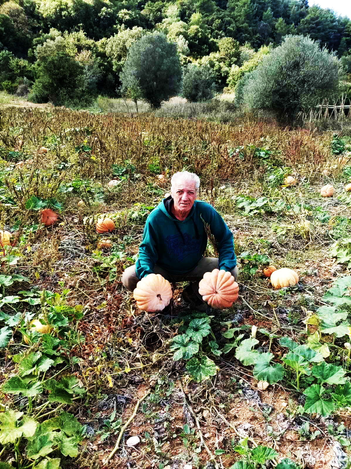 Πώς η «κολοκύθα του Χάλογουιν» μπήκε στην ελληνική κουζίνα-3