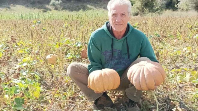 πώς-η-κολοκύθα-του-χάλογουιν-μπήκε-σ-563282857