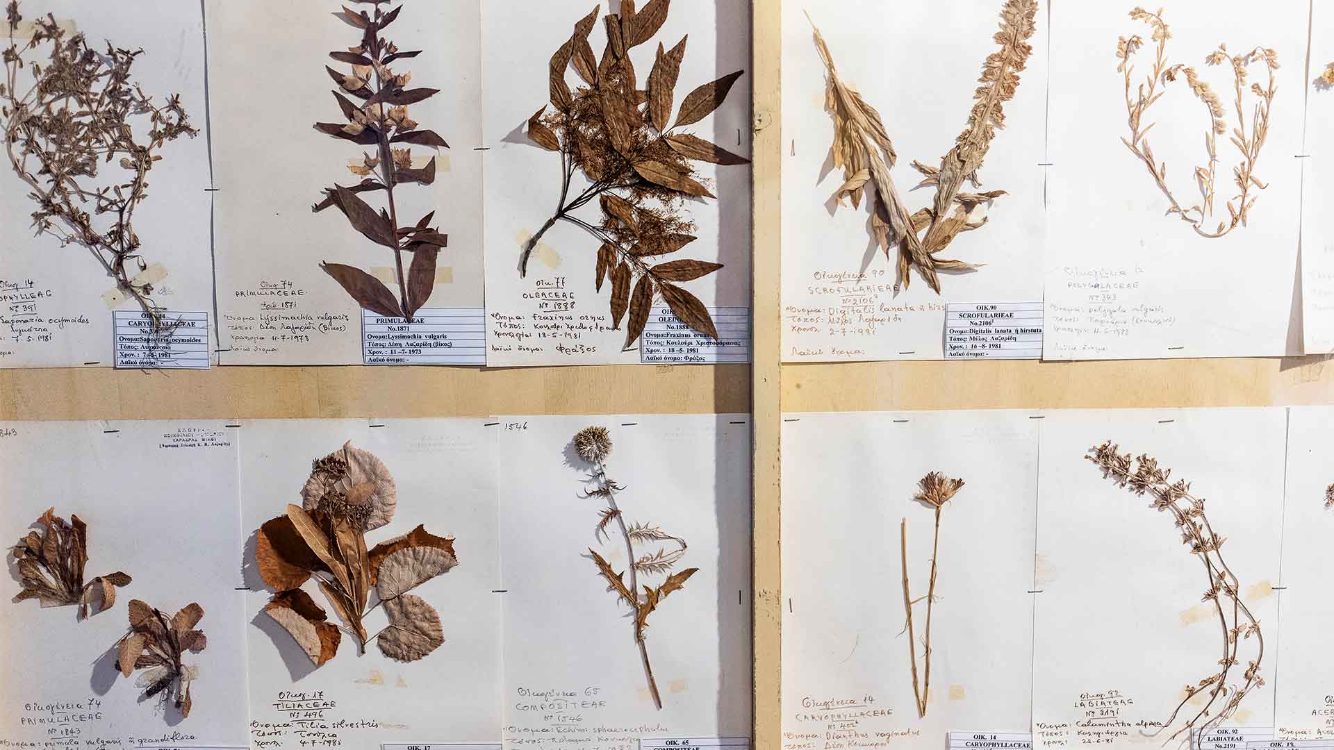 Σαββατοκύριακο στο Κουκούλι: Ανακαλύπτοντας το μικρό χωριό του Ζαγορίου-1