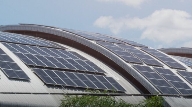 πάνω-από-το-60-των-επιχειρήσεων-στην-ε-ε-έ-563286694