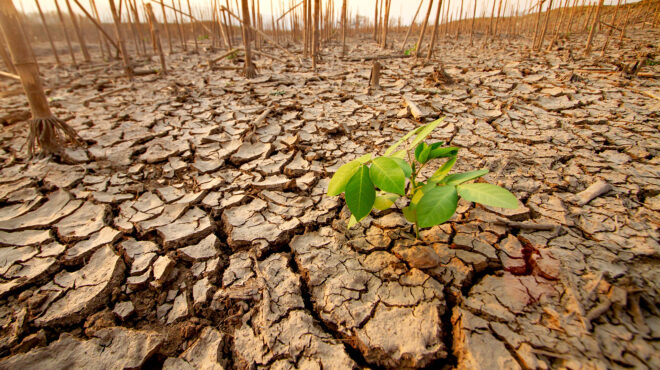 αρθρο-γιάννη-ρούντου-στην-κ-να-περάσ-563293639