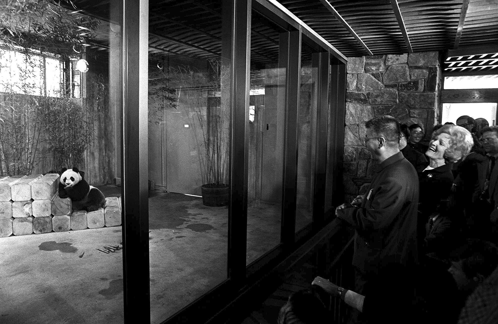 Πώς τα πάντα ρίχνουν φως στις γεωπολιτικές σχέσεις-4