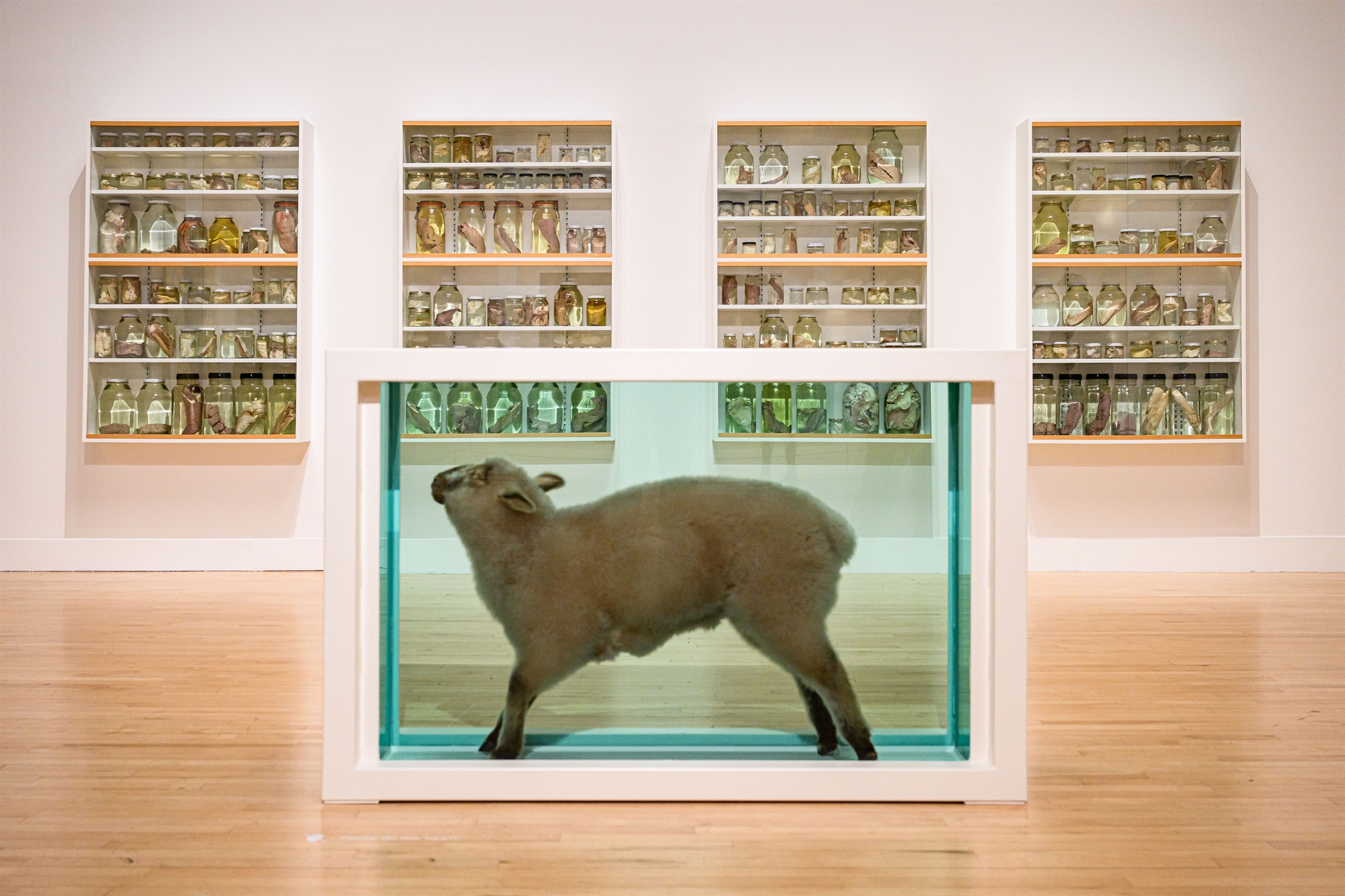 Οι «Στοχασμοί του συλλέκτη» και μια έκθεση στην Tate Modern για το διεθνές κοινό-3