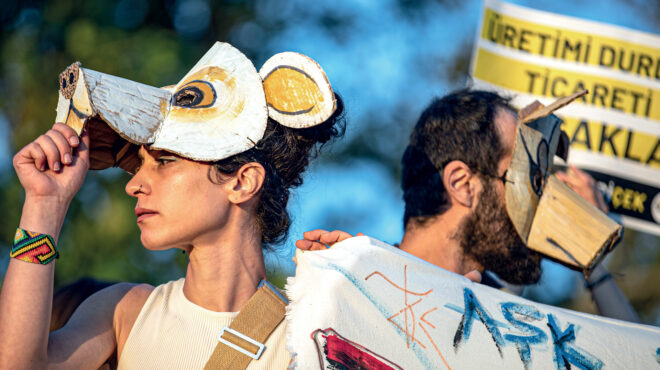 γιατί-κινδυνεύουν-τα-αδέσποτα-της-του-563253265