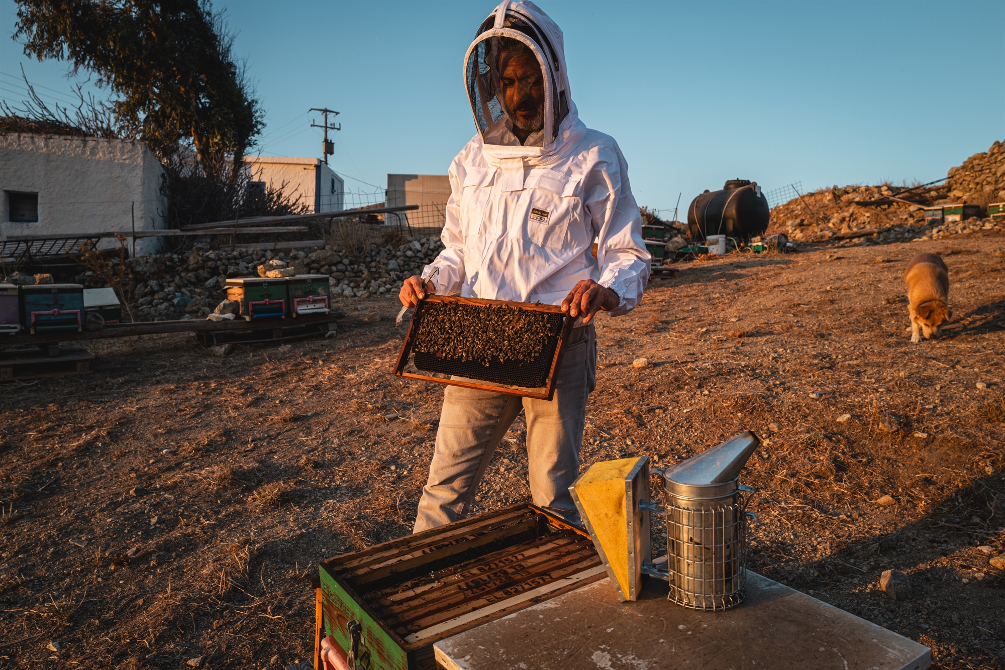 Οι φάροι της κυκλαδικής ζωής-13