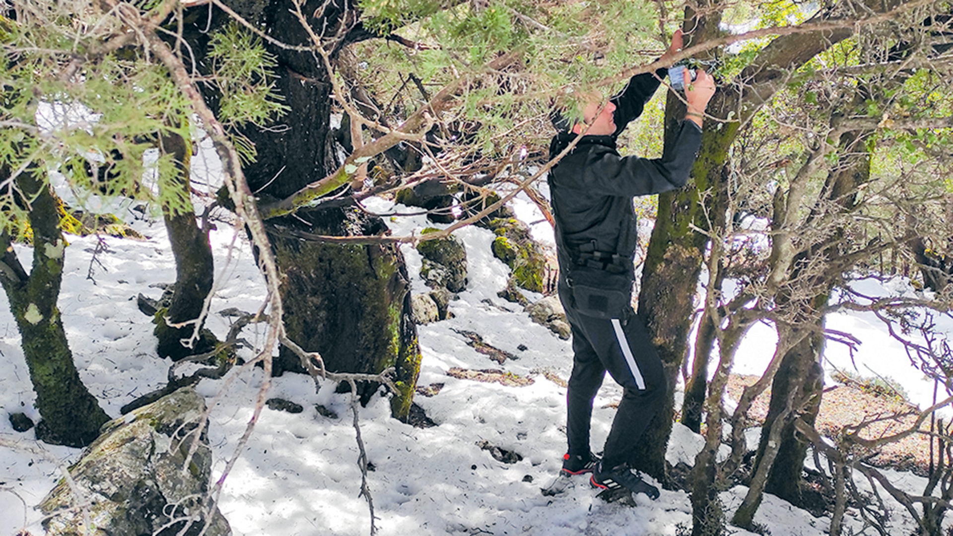 Ηχογραφώντας τις φωνές του βουνού-2