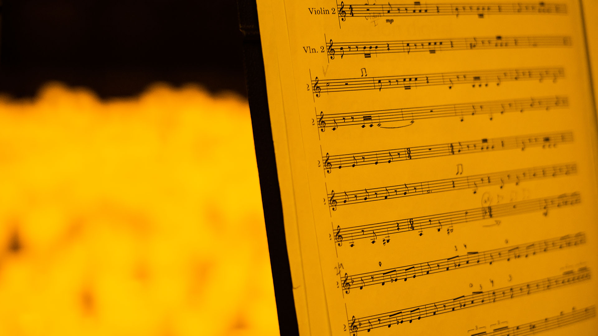 Κοντσέρτο στην Παλαιά Βουλή υπό το φως εκατοντάδων κεριών-2