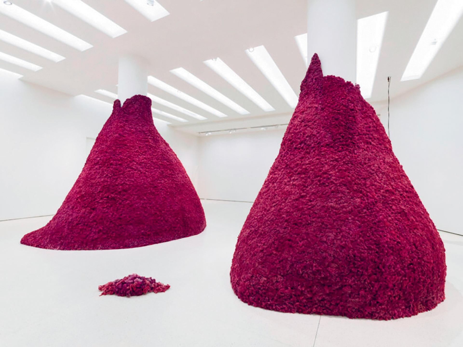 Τα αινιγματικά πρόσωπα «τρελών» και γελωτοποιών-5