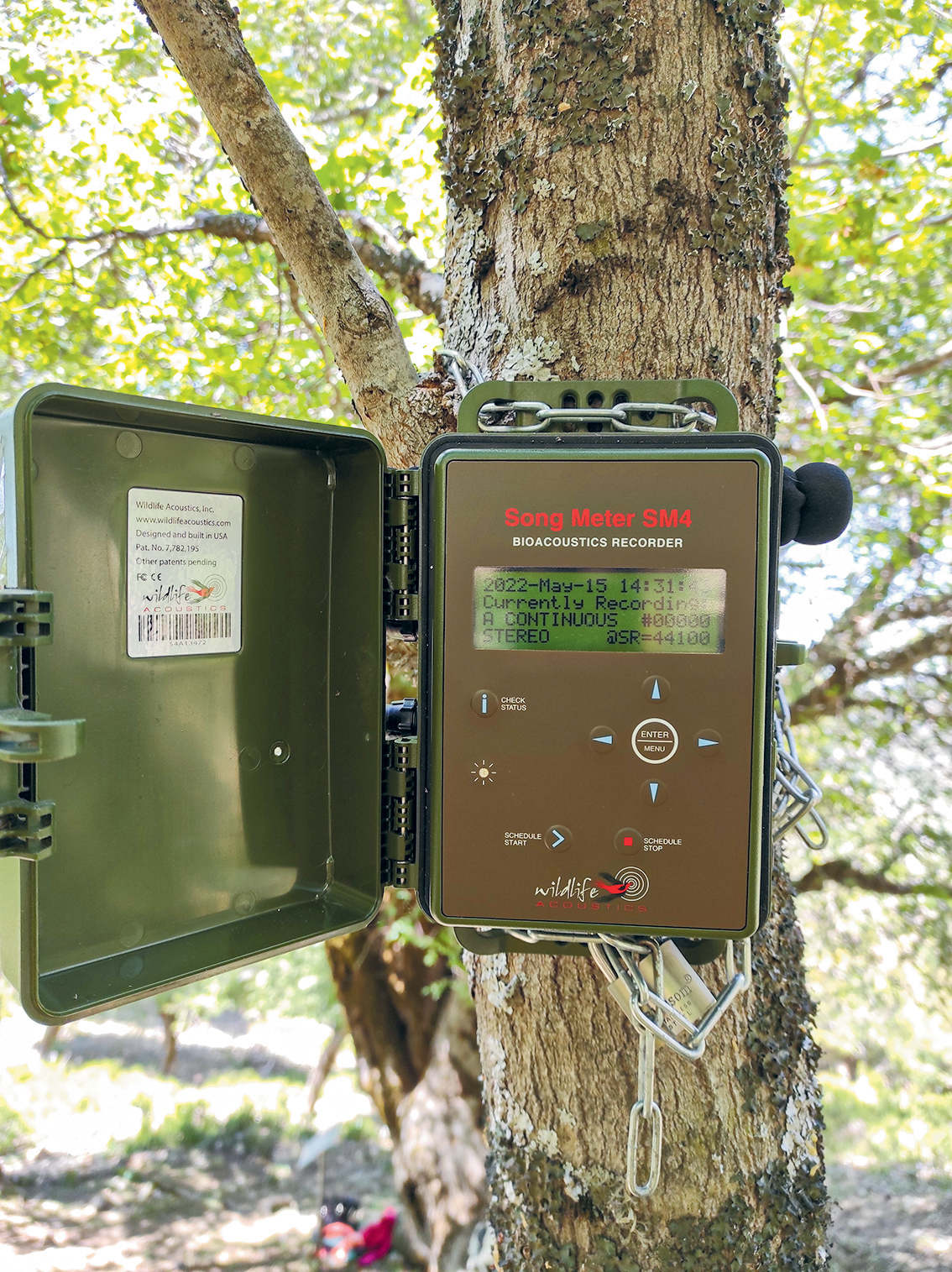 Ηχογραφώντας τις φωνές του βουνού-1