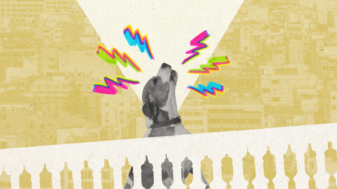 σκυλιά-που-υποφέρουν-ιδιοκτήτες-που-α-563255128