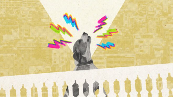 σκυλιά-που-υποφέρουν-ιδιοκτήτες-που-α-563255128