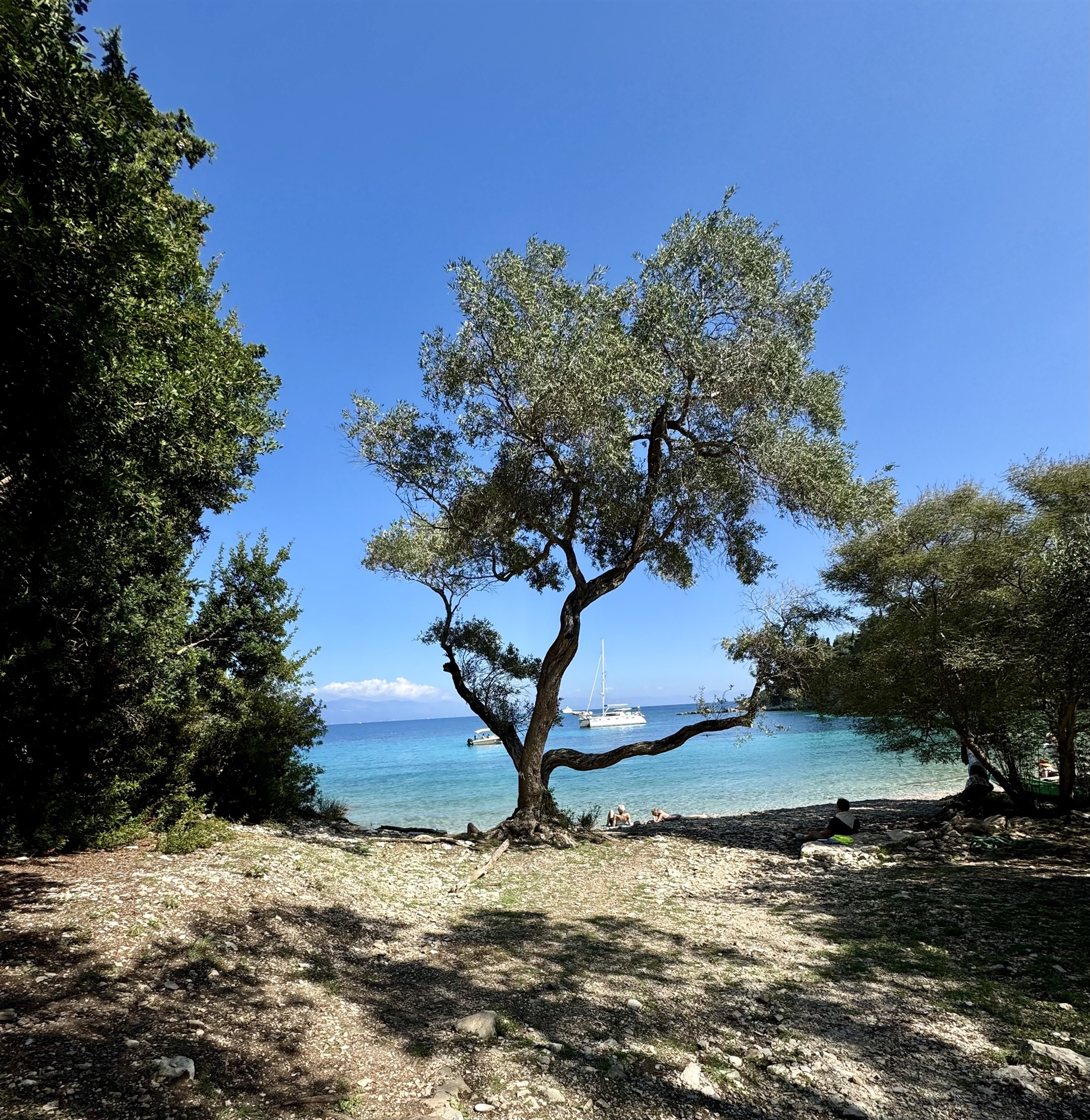Οι φθινοπωρινοί Παξοί χορεύουν ακόμα στους ήχους του «Maestro in Blue»-1