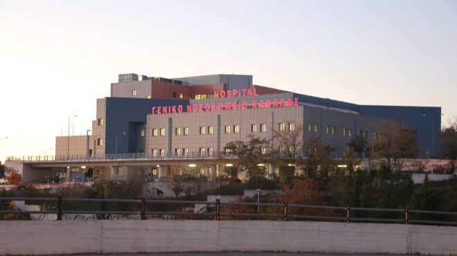 κυψέλη-παραδόθηκαν-δύο-αδέλφια-για-το-563259745