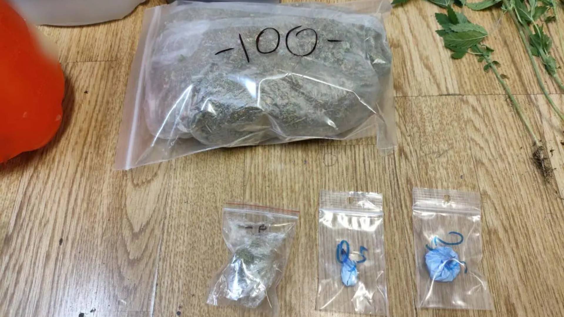 Υδροπονική καλλιέργεια κάνναβης σε σπίτι στην Κυψέλη – Δύο συλλήψεις-2