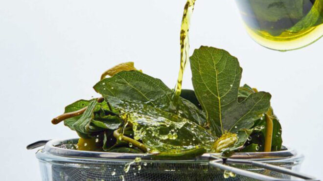 λικέρ-με-φύλλα-συκιάς-563293486