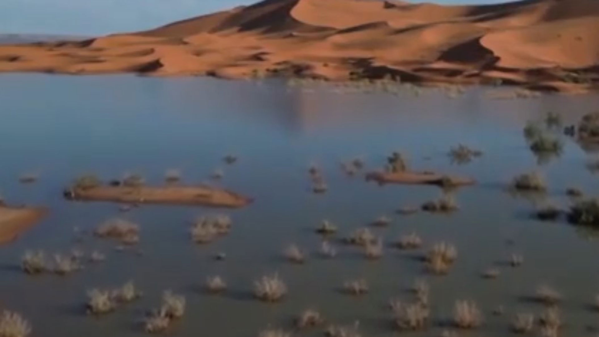 Η έρημος Σαχάρα έγινε «λίμνη»-2