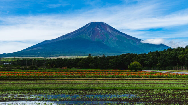 η-φινλανδία-στρώνει-ειδικά-χαλιά-γι-563296015