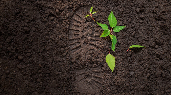 η-πράσινη-πρόθεση-και-οι-γκρίζες-ζών-563251243