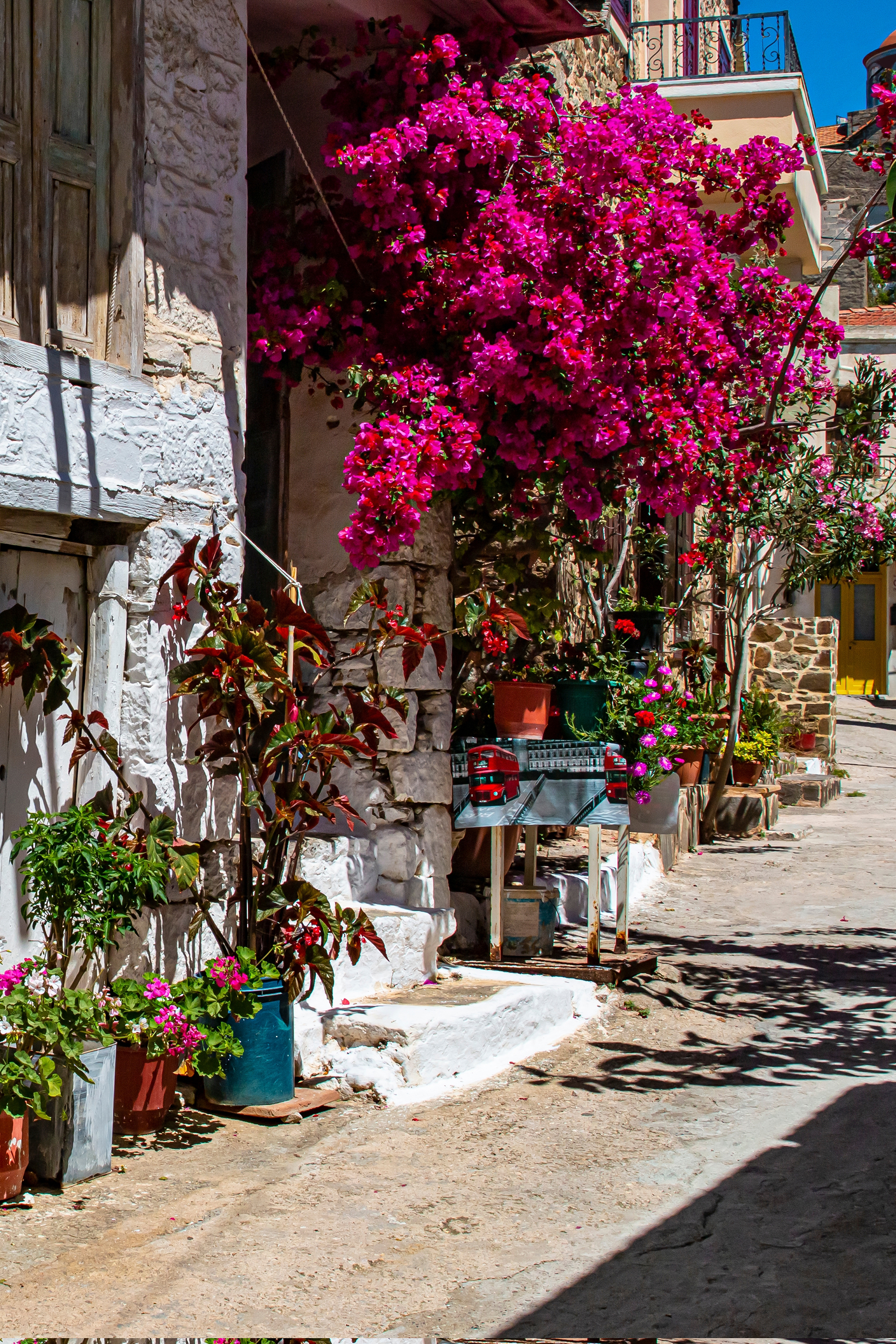 Βολισσός Χίου: Προσφέρει δουλειές και δωρεάν φροντιστήρια για να αναγεννηθεί το χωριό-7
