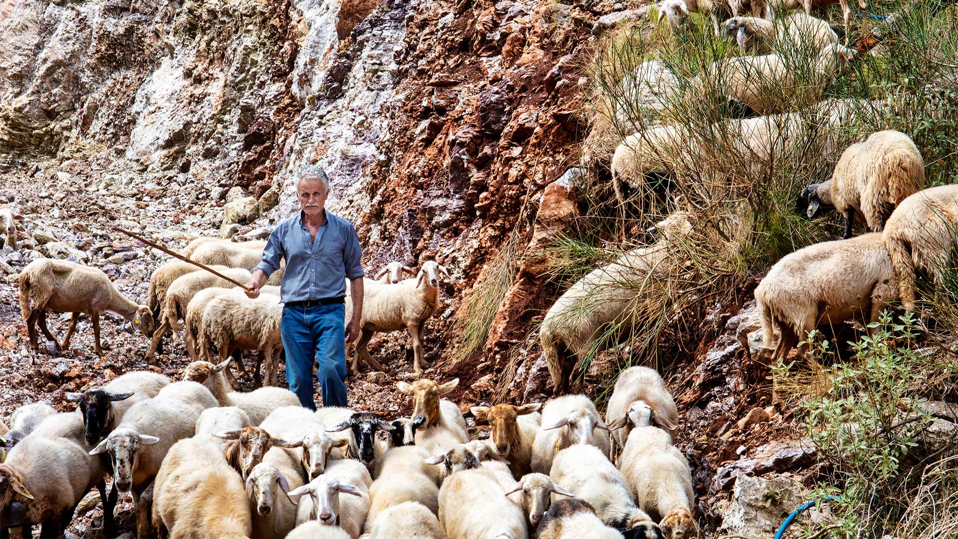 Φθινοπωρινή απόδραση στη Δημητσάνα, το ορεινό στολίδι της Αρκαδίας-2