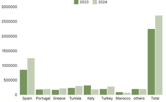Ελαιόλαδο: Οι πρώτες εκτιμήσεις για τη νέα σοδειά και τις τιμές-2