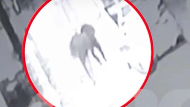 δολοφονία-τούρκου-στην-κυψέλη-βίντεο-563312203