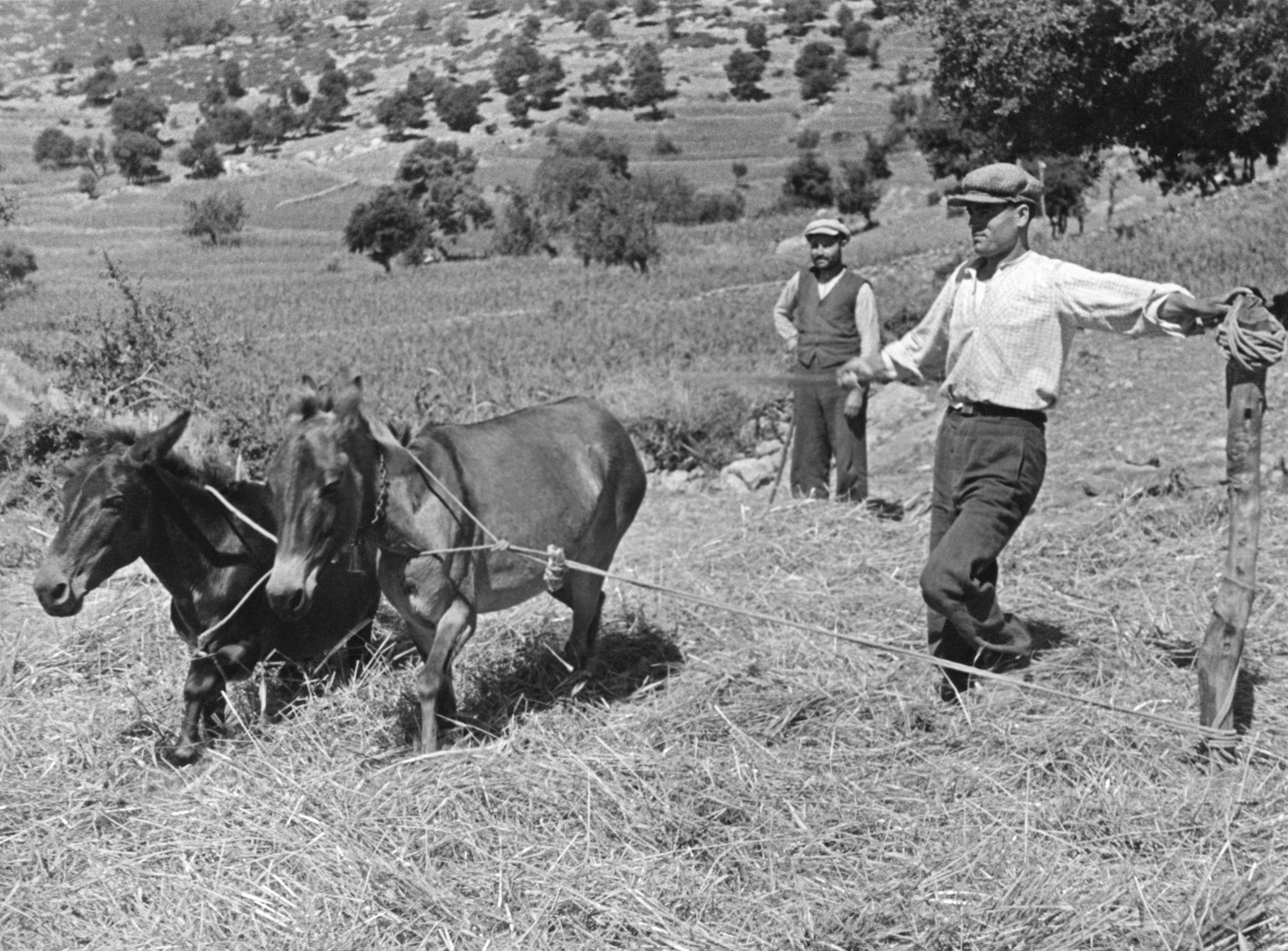 Αλέξανδρος Κορυζής: Ο πρωθυπουργός του δεύτερου «Όχι»-6