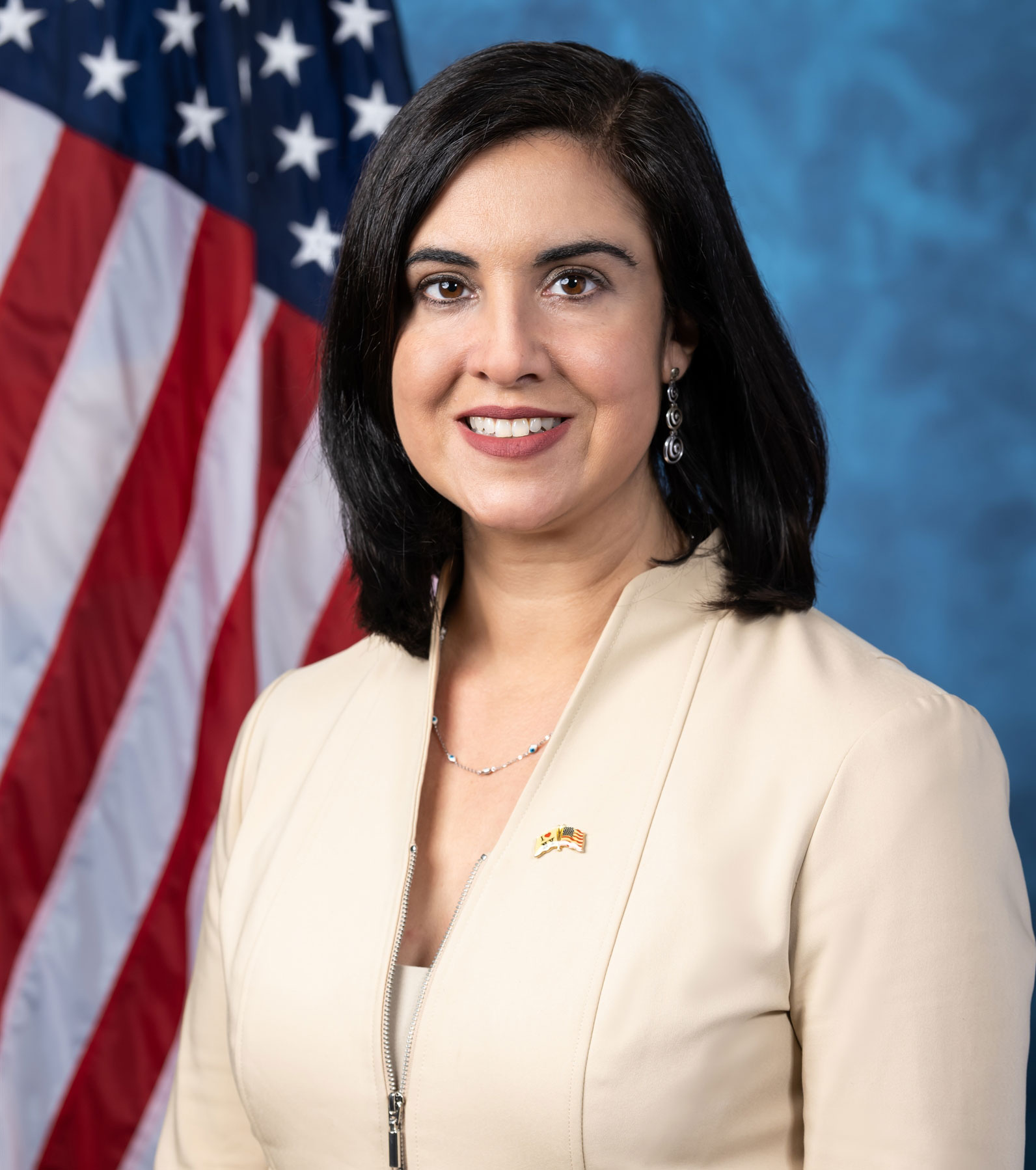 Εκλογές ΗΠΑ 2024: Οι εκπρόσωποι της ομογένειας-5