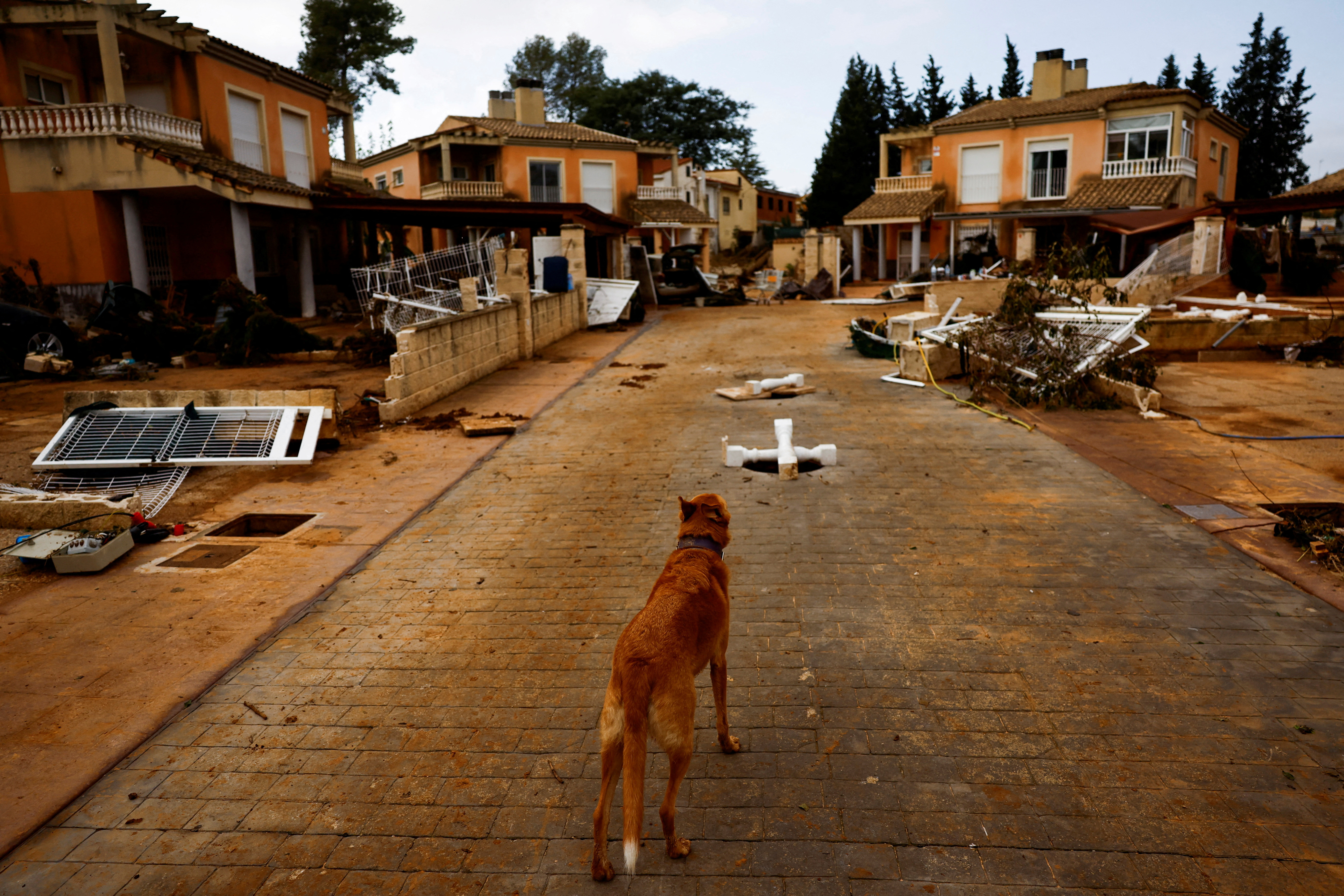 Ισπανία: 1.000 στρατιώτες αναζητούν επιζώντες στις λάσπες της Βαλένθια-3