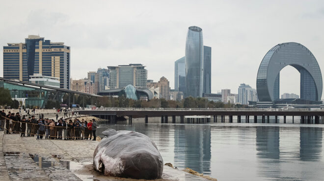 οπτικοποίηση-της-καταστροφής-563317903