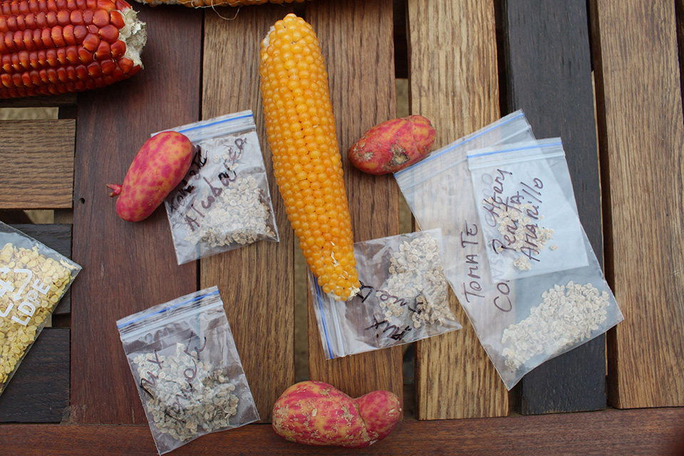 Μια ιστορική μπύρα, «μηδένισε»-3