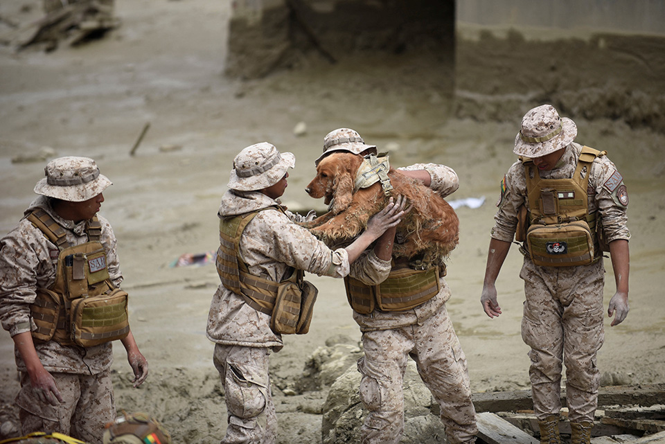 Η εκκλησία της πάπιας-3