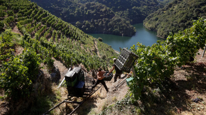 χαμηλό-60-ετών-στην-παγκόσμια-παραγωγή-κ-563348194