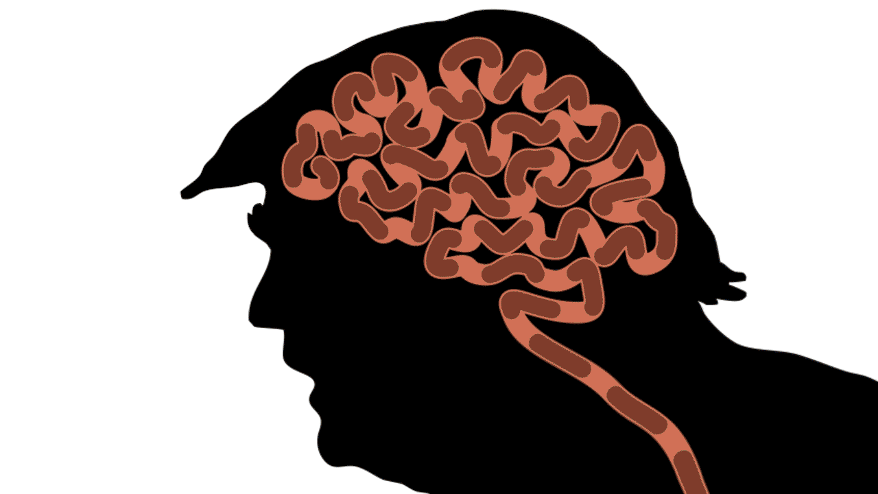 animation-σκίτσο-του-δημήτρη-χαντζόπουλου-04-11-24-563304922