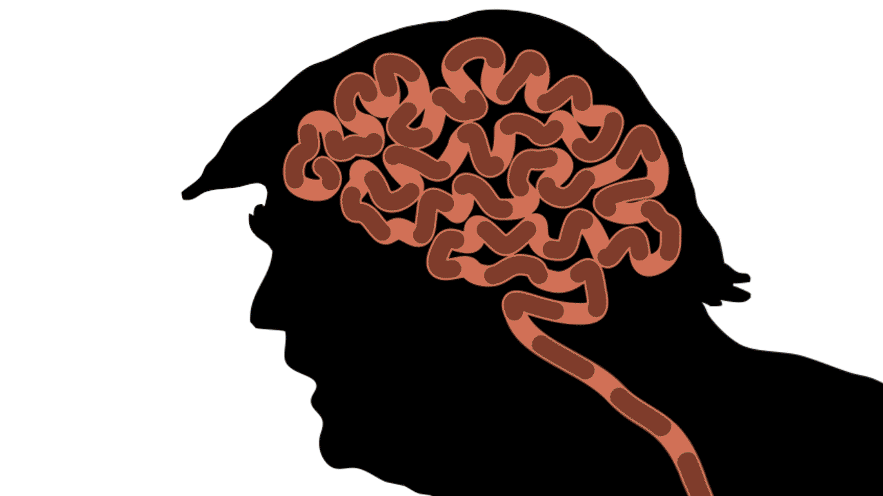 animation-σκίτσο-του-δημήτρη-χαντζόπουλου-04-11-24-563304922