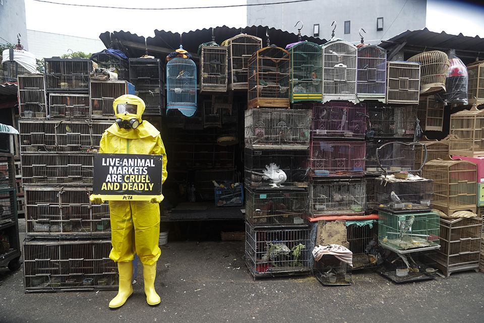 Μια Ελλάδα μακριά-1