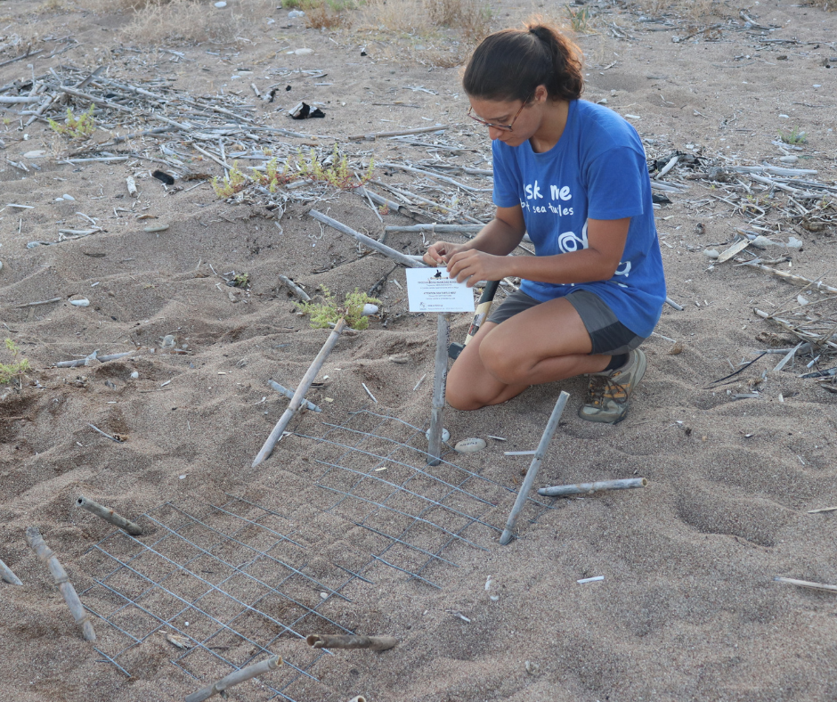 Οι καρέτα καρέτα επιστρέφουν θριαμβευτικά-3