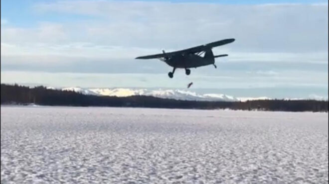 βομβαρδίζοντας-με-γαλοπούλες-την-563344756