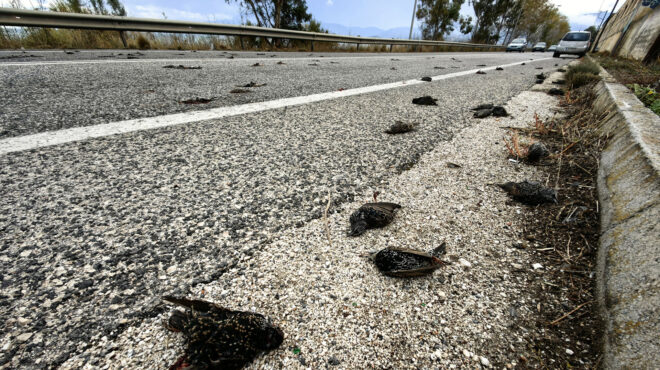 αργολίδα-μυστήριο-με-τα-εκατοντάδες-ν-563323570